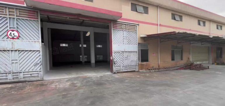 万江小享单一层700平方厂房出租滴水9米可装行车院子大交通好