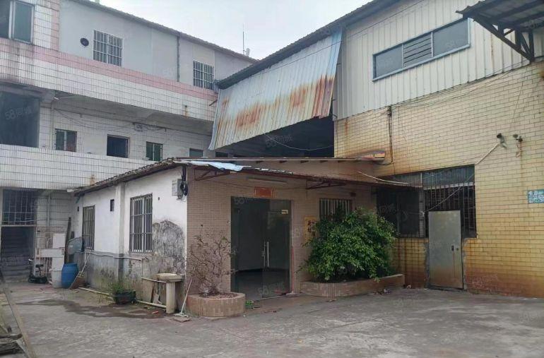 蚬涌新出7米带隔热，中间无柱子厂房出租