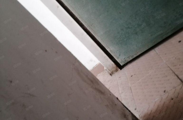 万江莫屋村独门独院原房东3000平方工业厂房招租（可分租）