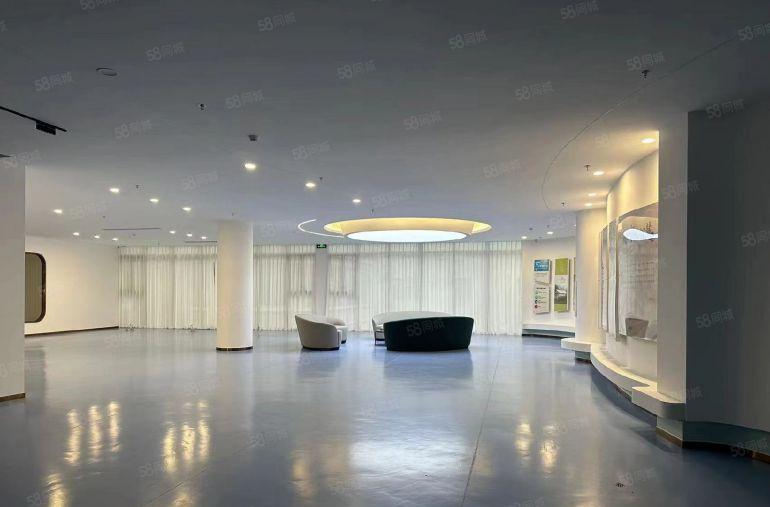 东莞市万江区带豪装厂房办公场所，医美等行业绝配