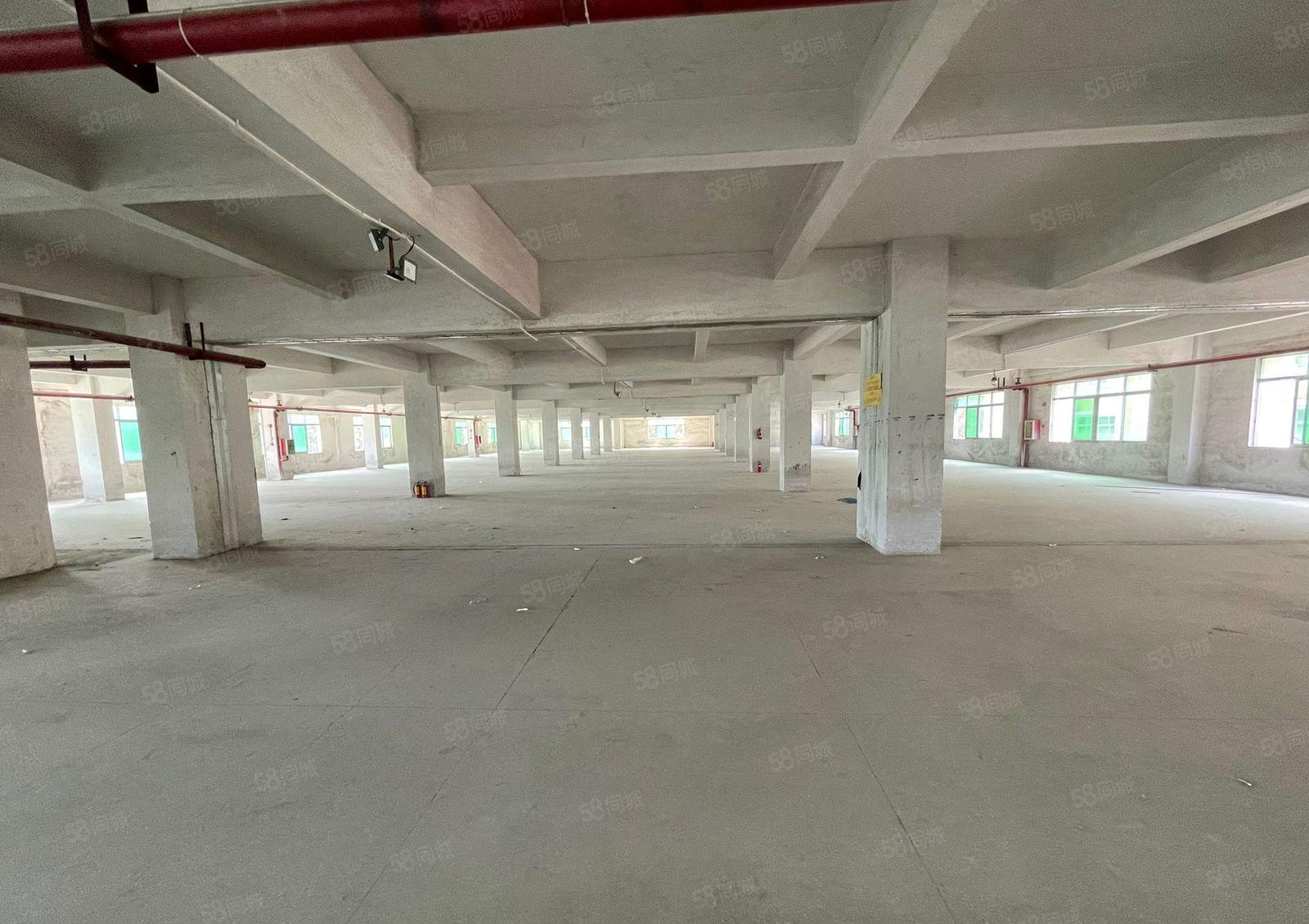 万江新和工业园标准二楼三楼各2200平方出租水电齐全院子超大