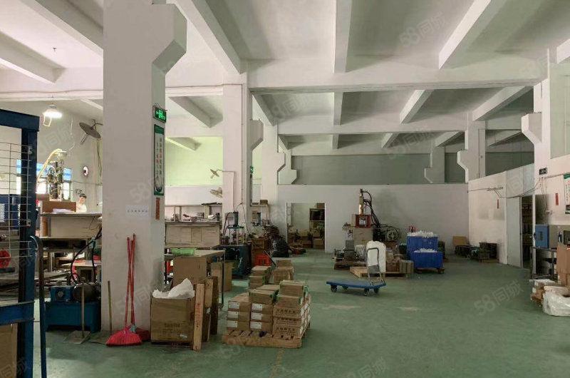 万江简装标准一楼500平方，800平方，1200平方招租