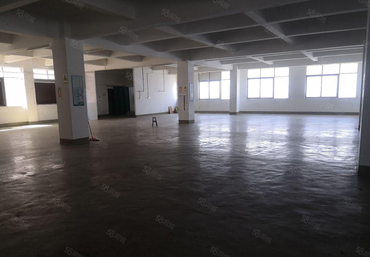 万江新出楼上厂房，总面积4000平方，有宿舍一栋按需