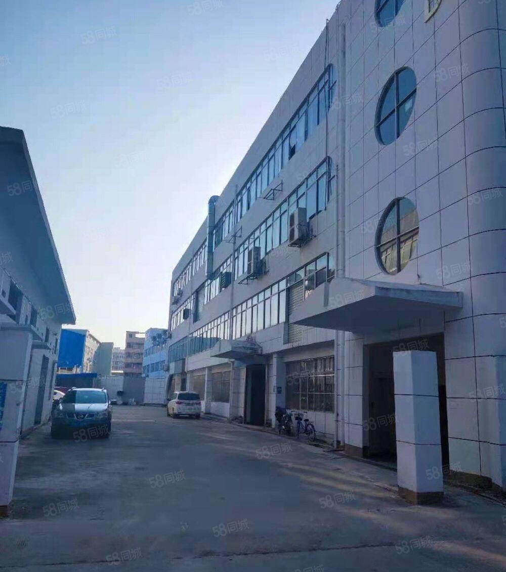 万江原房东独院标准厂房5000平方低价出租，一楼可分租单一层