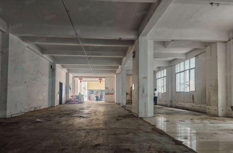 万江新出大型工业园分组厂房一楼，厂房方正，工业用地，交通便利