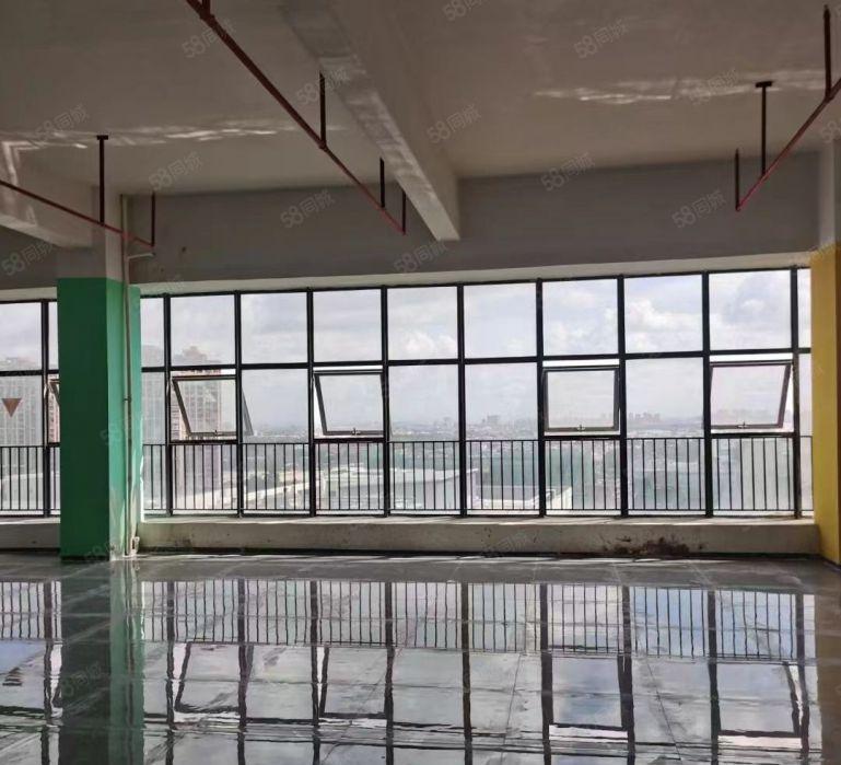 万江新出小独院厂房出租，可整租可分租