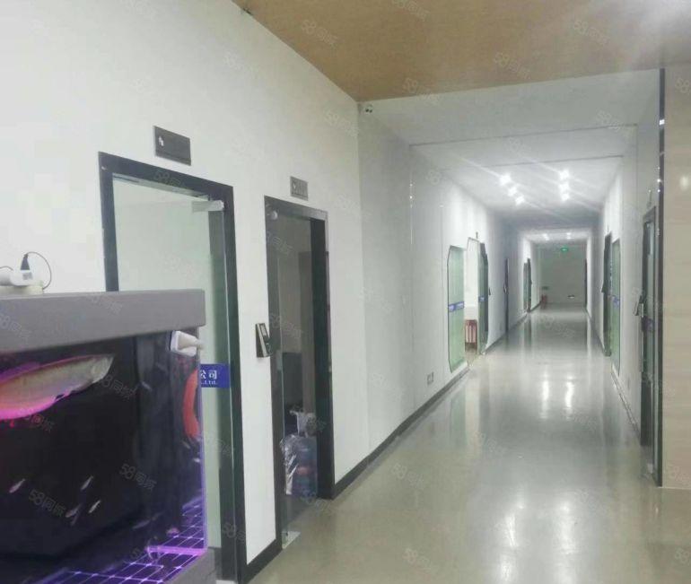 万江原房东独门独院厂房出租，无公摊面积厂房出租