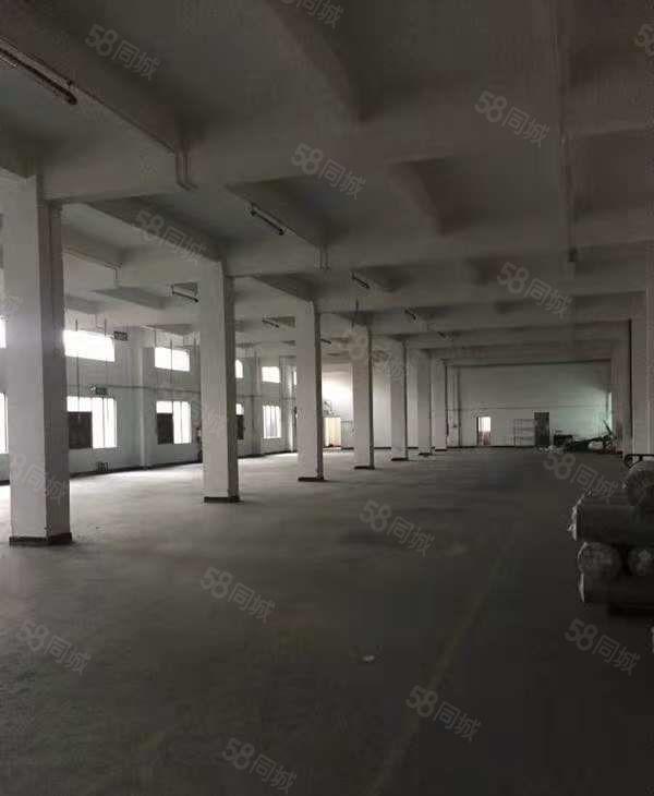 石美工业园新出721平米标准一楼厂房招租