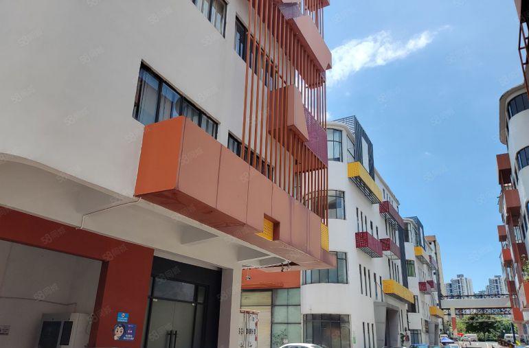 万江金泰一楼厂房1025平厂房东南向层高5米方正户型原房东