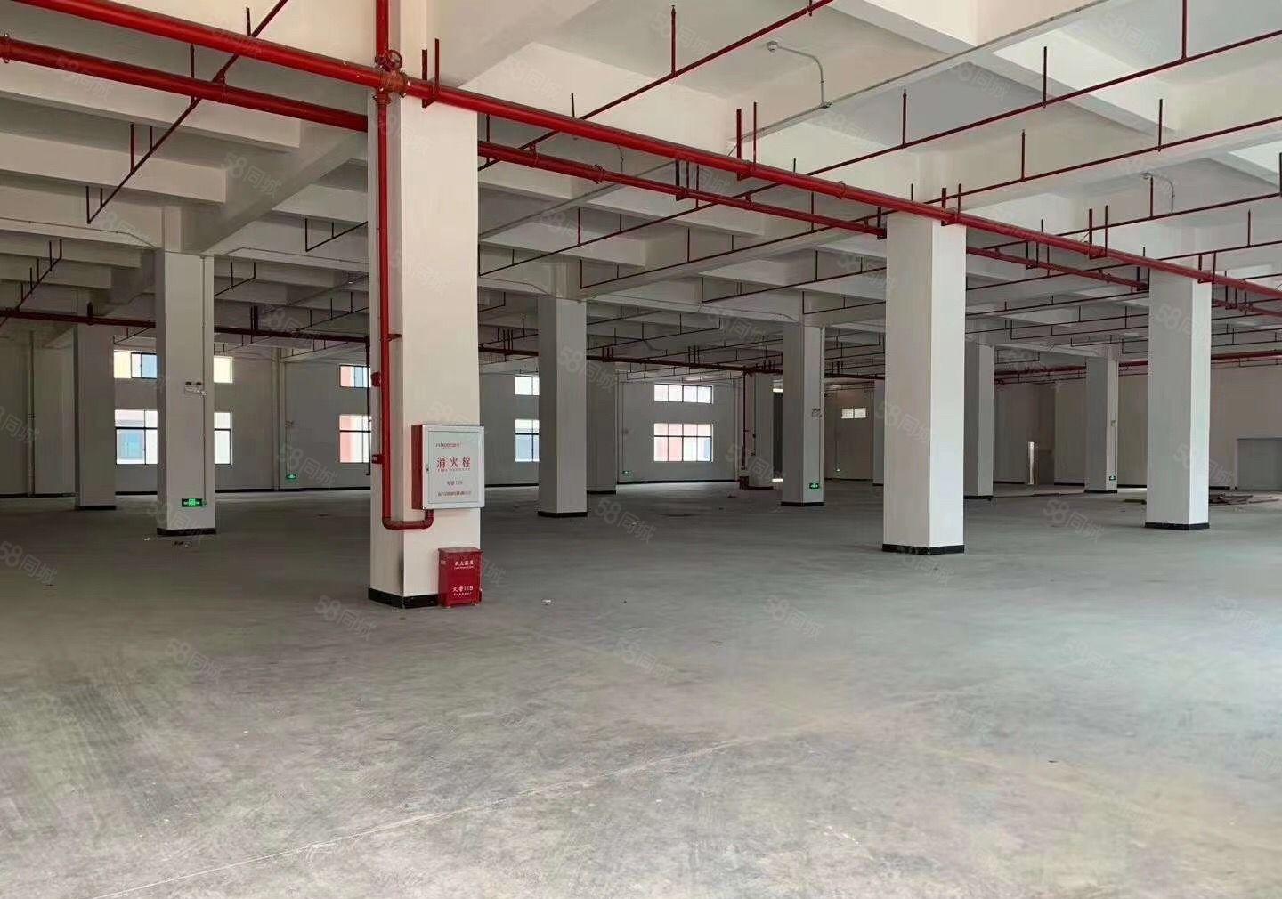 万江石美独门独院标准厂房三层18000平大小可分租