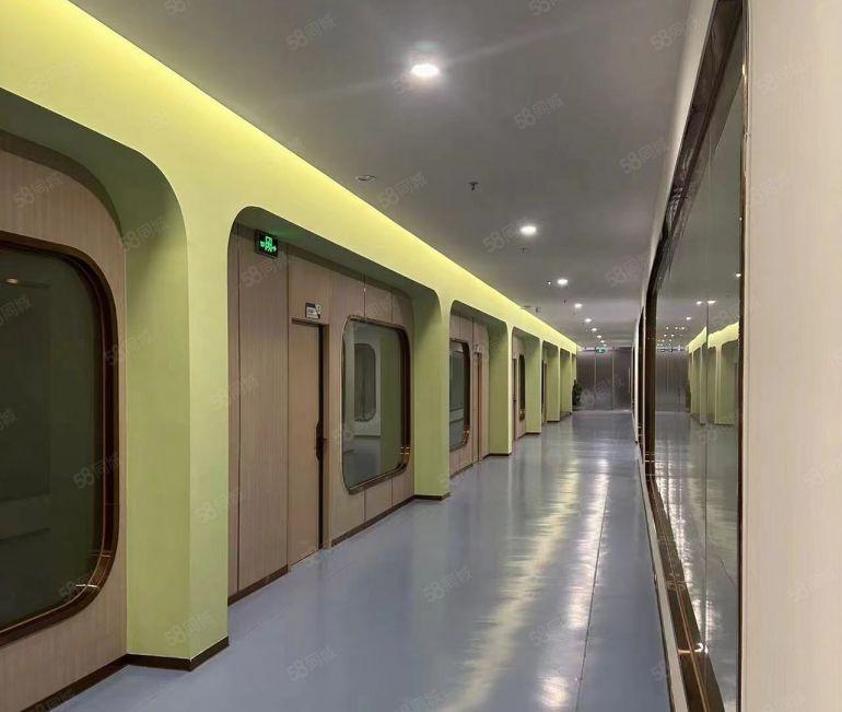 东莞市万江区带豪装厂房办公场所，医美等行业绝配