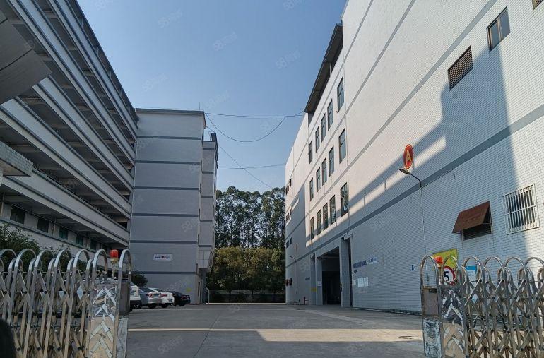 万江简沙洲厂房全新1000，2000，10000平方出租