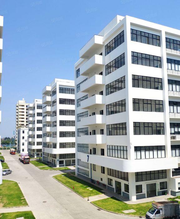 万江新村6000平方全新独栋厂房低价出租，近高速，可分租