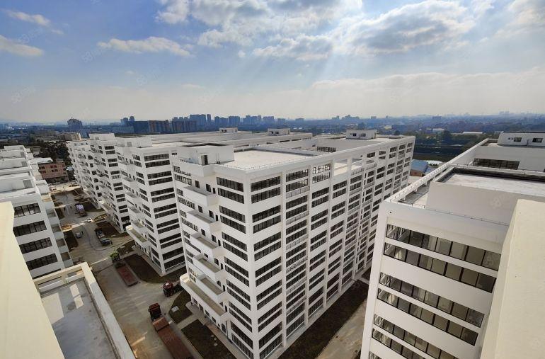 万江政府项目 中创汇智盈科技园 全新高标厂房可环评 990