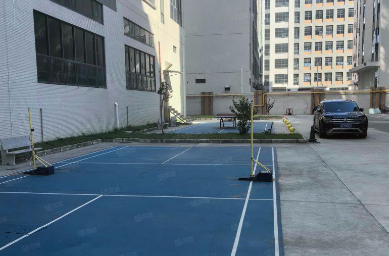 原房东直租   特惠户型9.9元起