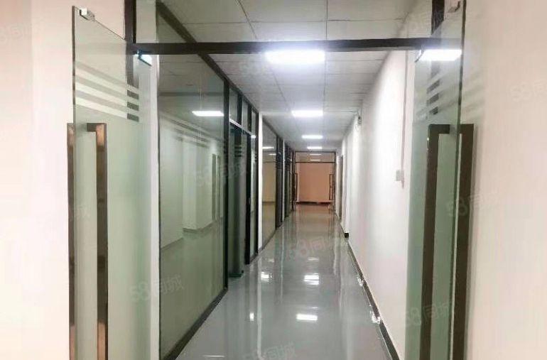 万江简沙洲4000平米原房东独院厂房低价出租