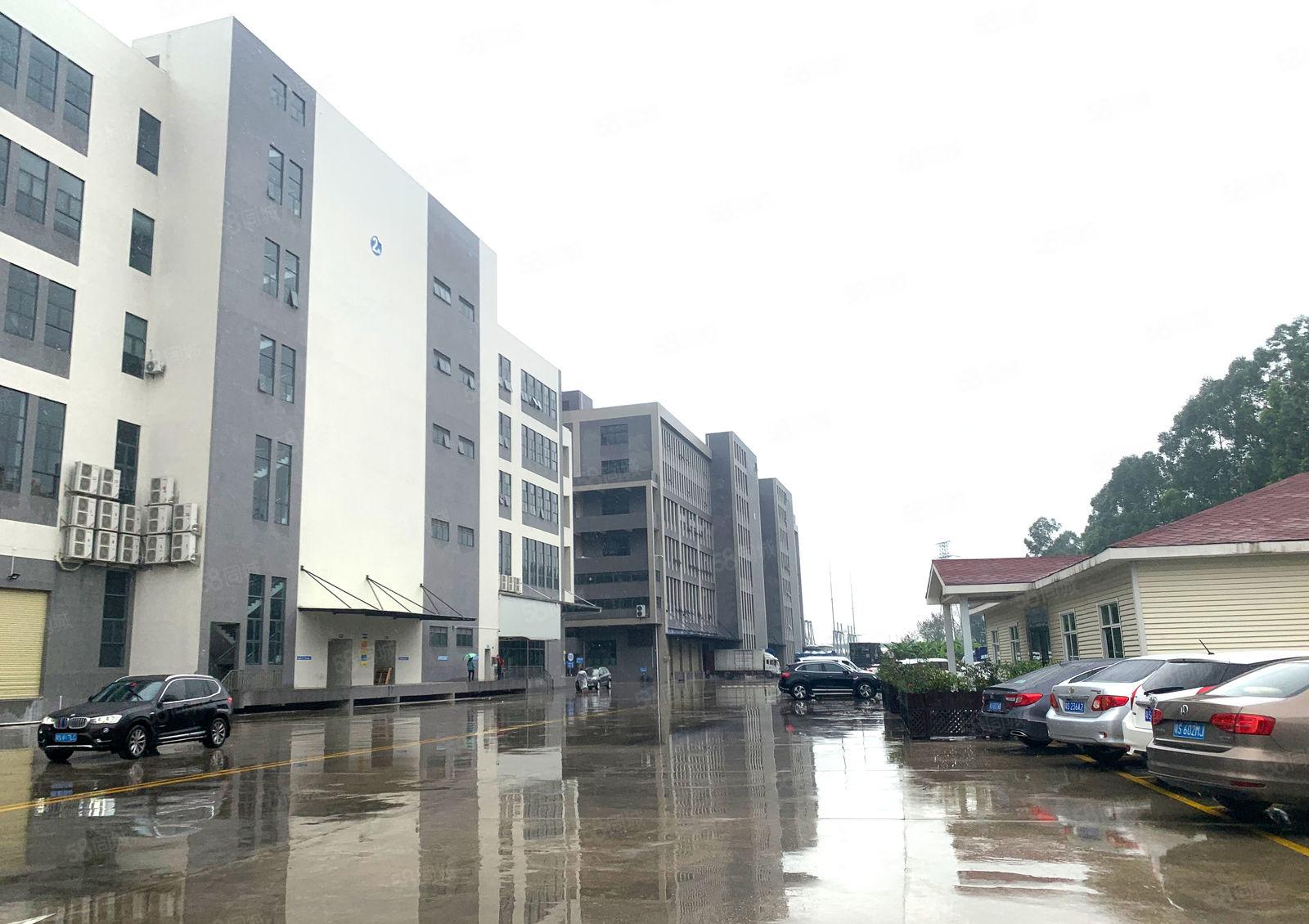 物业直租万江港口大道边产业园厂房写字楼 价格面议