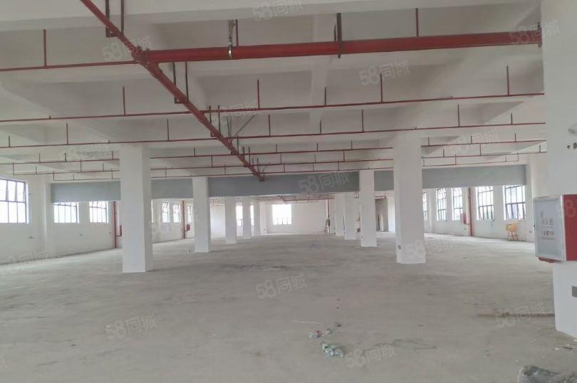 高新智能科技孵化园！智能，研发，科研，医药，无人机研发基地！