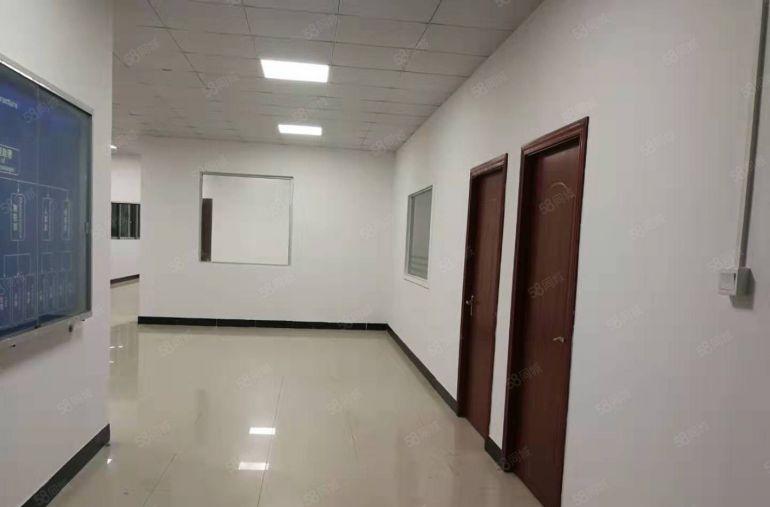 万江滘联原房东1300平米单一层钢构独院低价招租