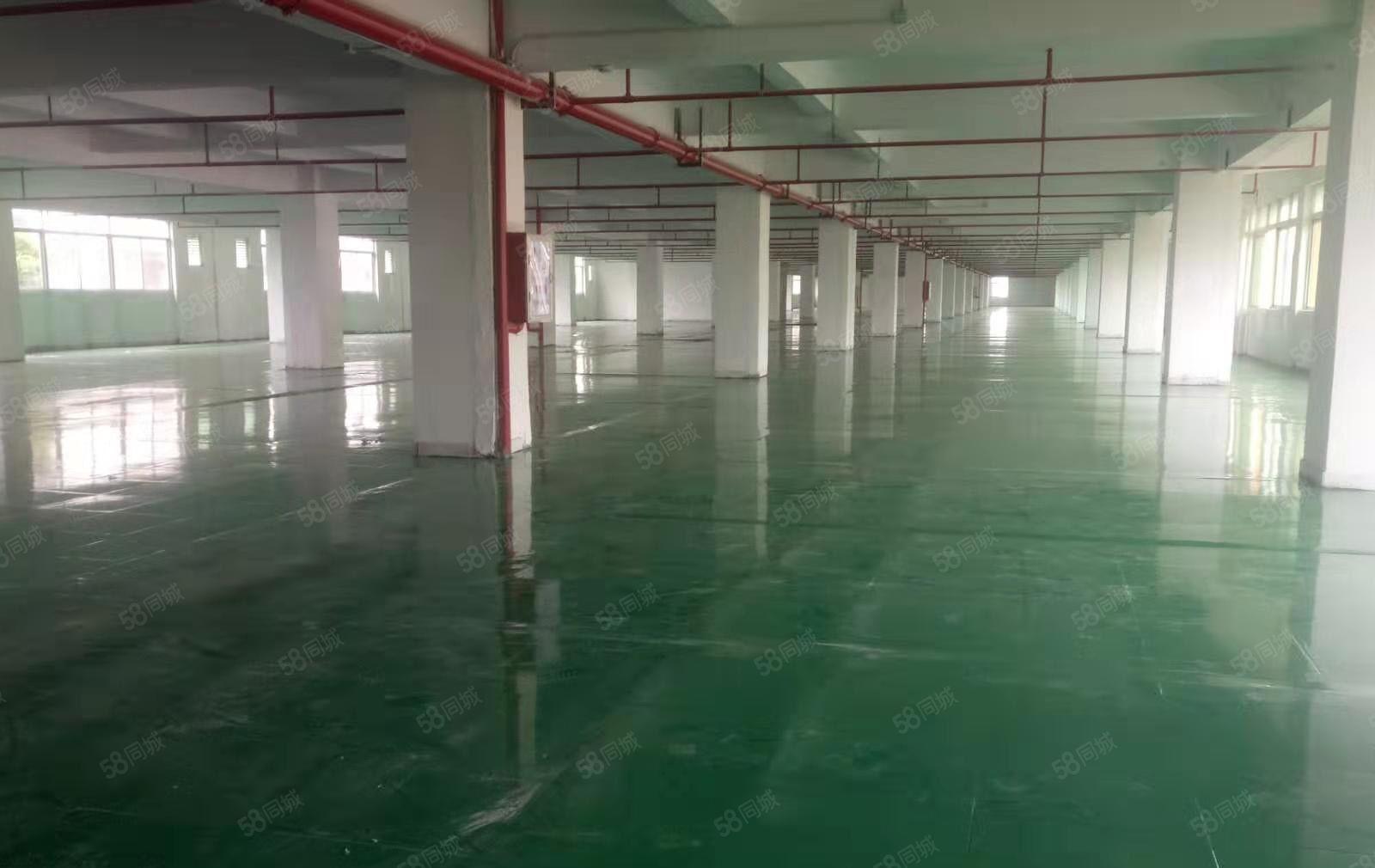 万江新和原房东楼房独院10000平米招租中