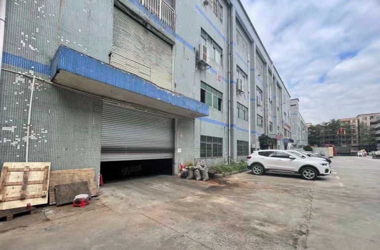 共联工业区标准1楼1350平方至2350平方可分租