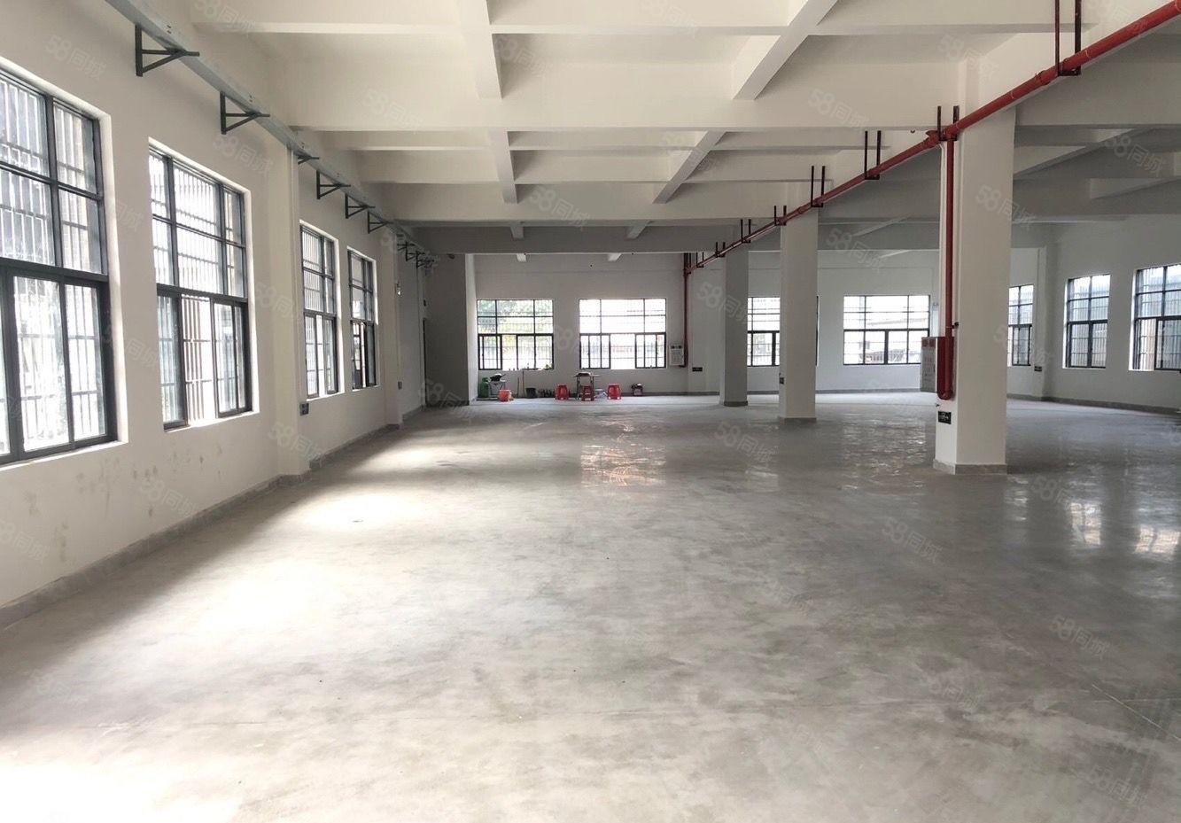 万江新出独院靓厂房 形象好可分租 适合电子设备小型加工