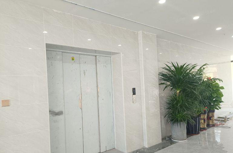 独院厂房出租三层全新装修可办环评万江近港口大道