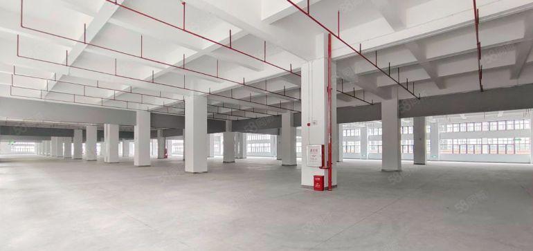 24万平全新超高标准产业园招租超长产线138米花园式厂