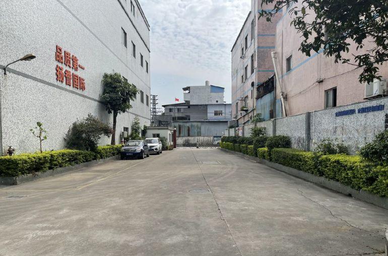 万江莫屋全新厂房一楼800平出租