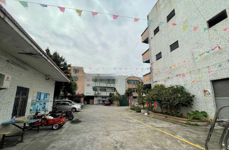 滘联原房东，独院，只要10元平方，可包租