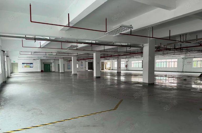 万江独门独院标准厂房出租，7800平米，有天然气，水电过户