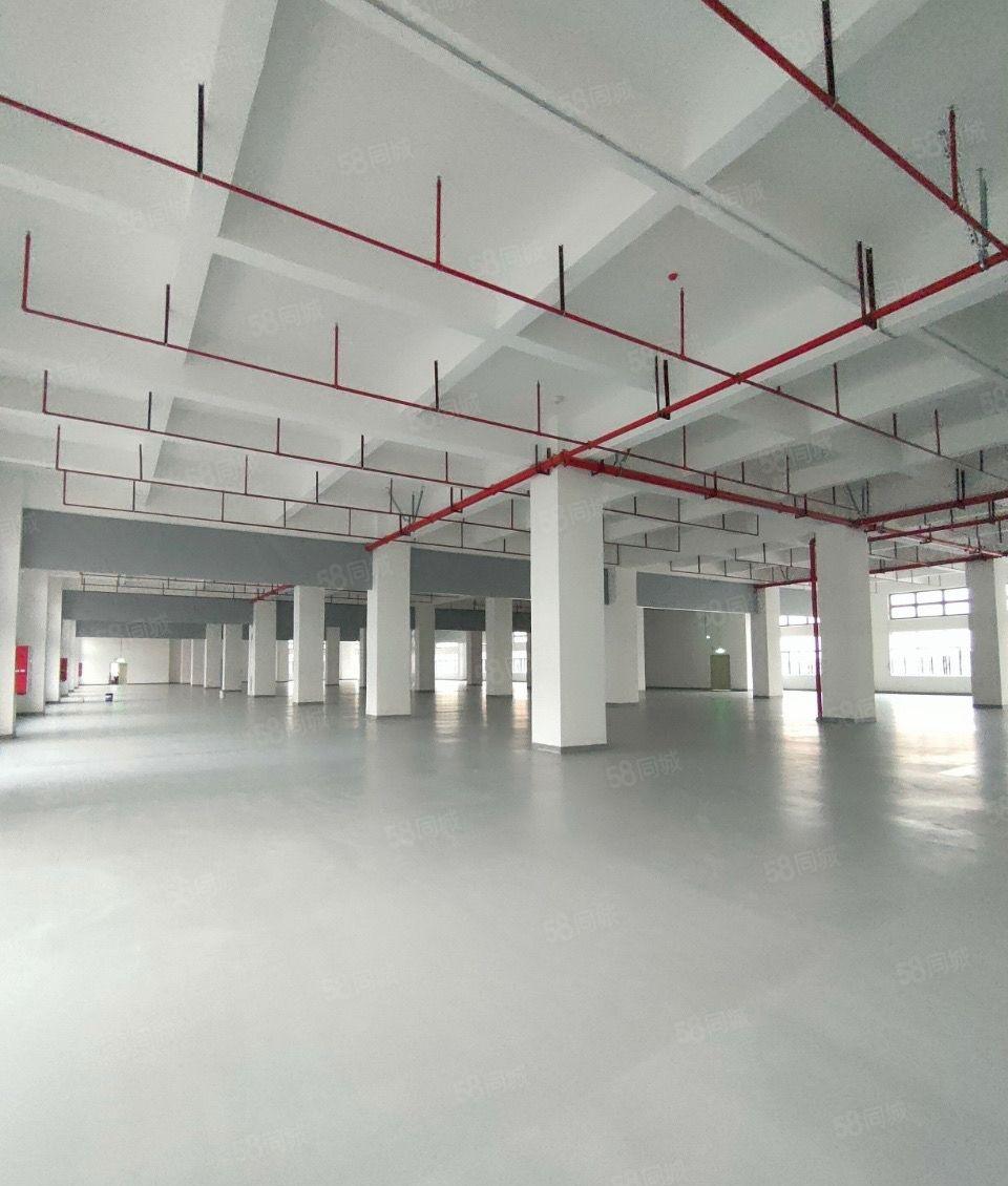 万江原房东新建标准厂房