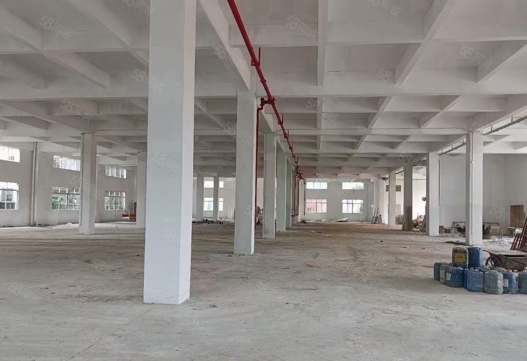 万江新出标准靓厂房，形象靓户型好，适合电子设备仓储