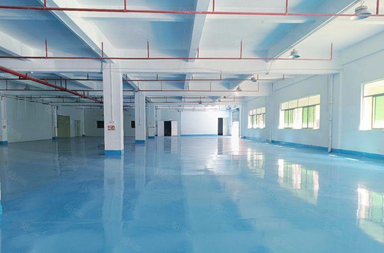 万江莞穗路原房东独院厂房出租，现成办公室装修拎包入驻