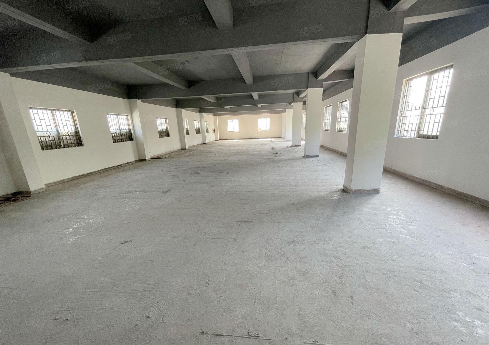 万江新谷涌独院厂房1350平出租水电齐全有现成办公室交通便利