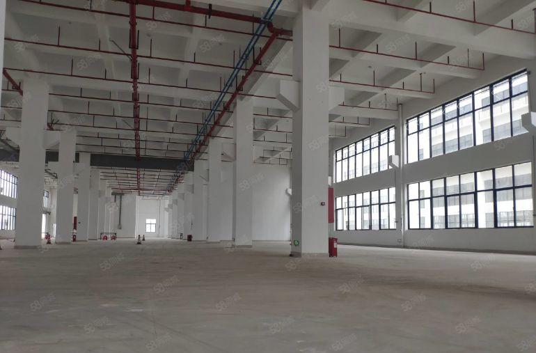 万江中创汇智盈科技园20000方全新独栋厂房出租，可分租