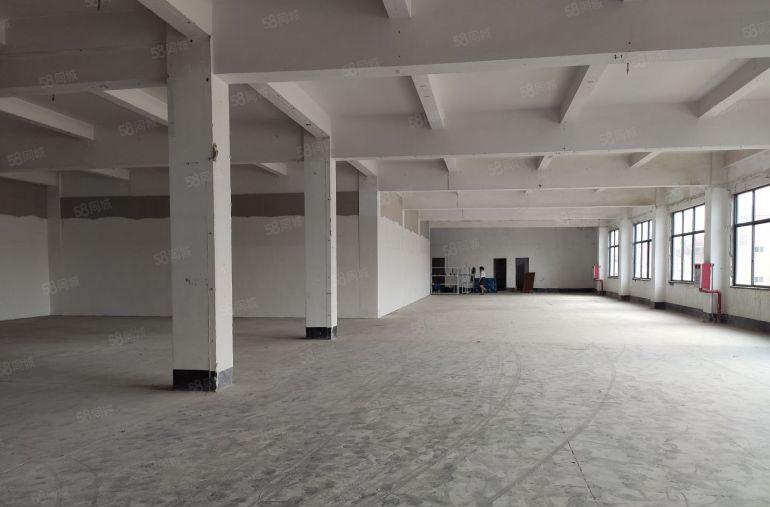 万江中心732平低价出租13000全包中创汇产业园2吨电梯