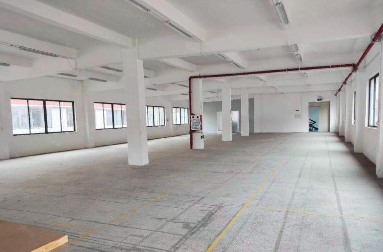 万江金泰厂房776.5平房东物业招租非中介层高2吨货梯东南向