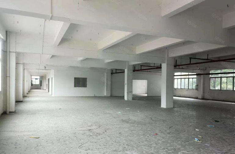 万江独门独院原房东多层厂房出租，厂房形象好，价格优惠