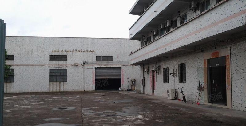 万江独门独院8米高800平方，独门独院1500平方招租