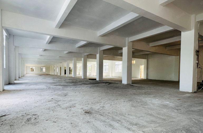 107主干道旁，标准独栋厂房出租，2600平，可工业可商业