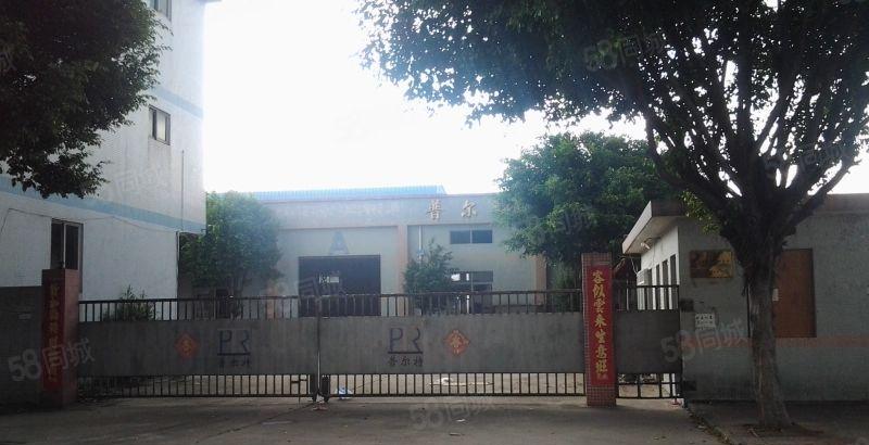 万江独门独院8米高800平方，独门独院1500平方招租