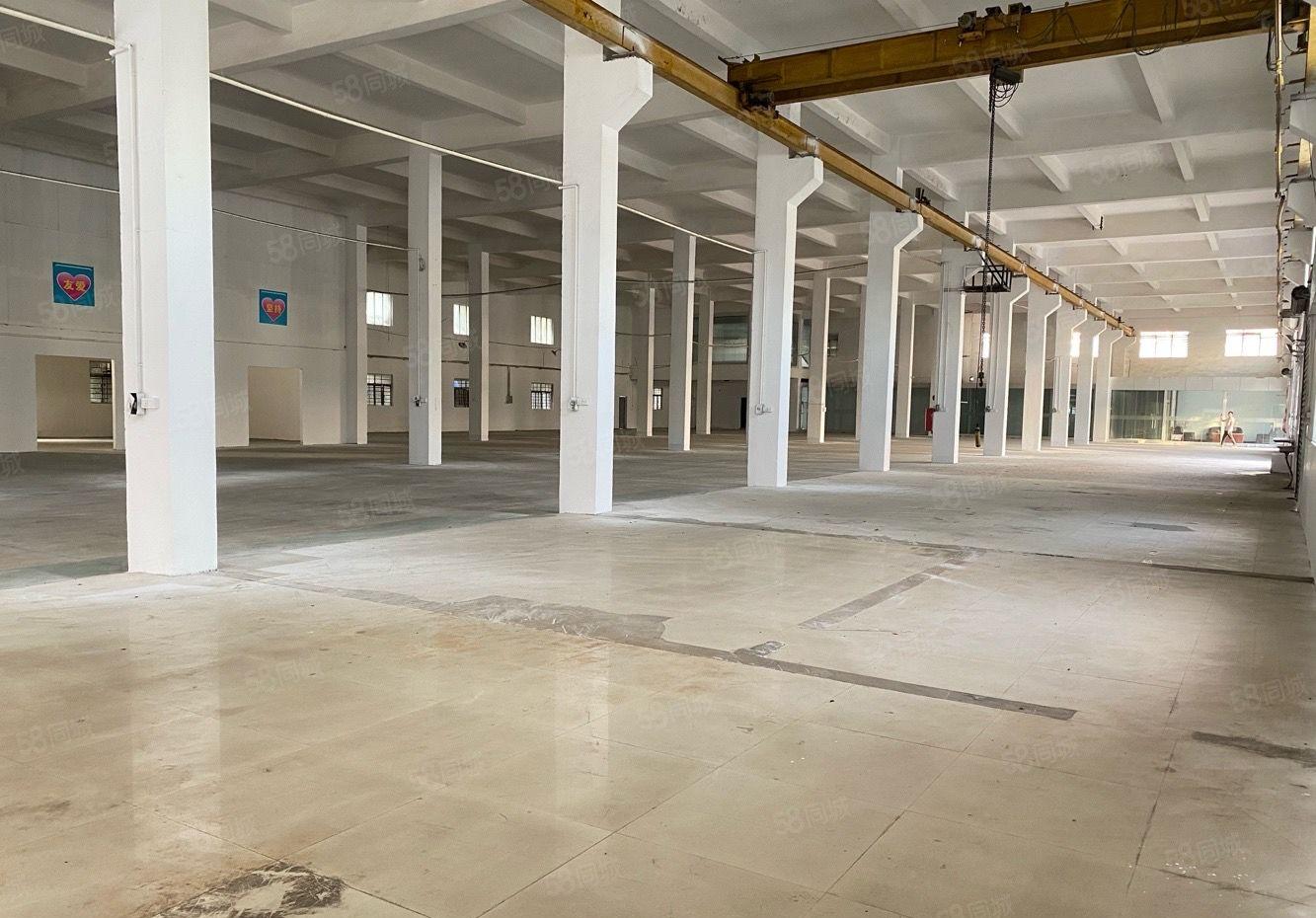 万江漂亮厂房出租空地大。一楼滴水八米带航车适合小加工电子仓库