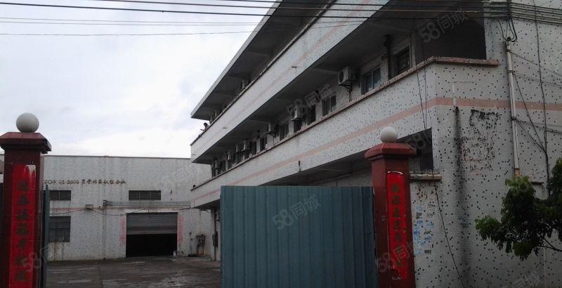 万江独门独院8米高800平方，独门独院1500平方招租