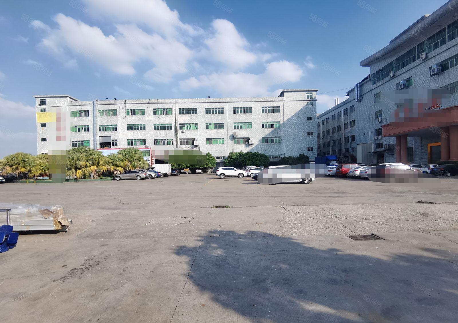 万江石美工业区新出标准厂房三楼900平方