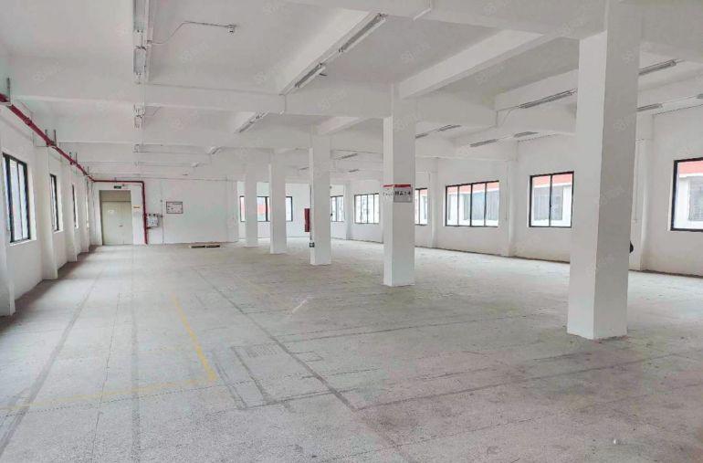 万江金泰厂房776.5平房东物业招租非中介层高2吨货梯东南向