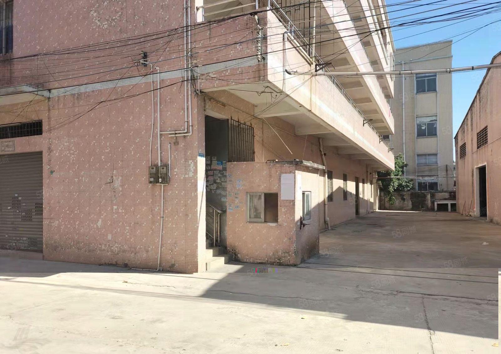 万江新出1680平方米独院厂房招租