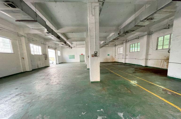 万江严屋一楼650平方标准厂房出租有现成办公室水电齐全空地大