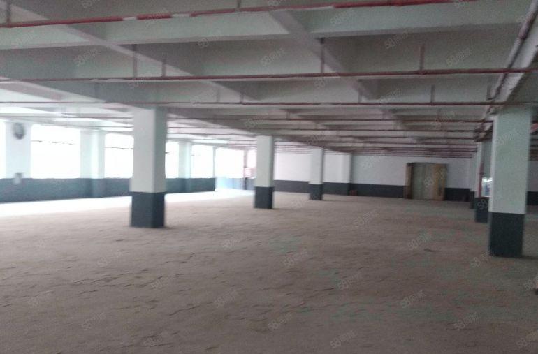 万江独院一楼1000平方带精装修，现成办公室，形象超好