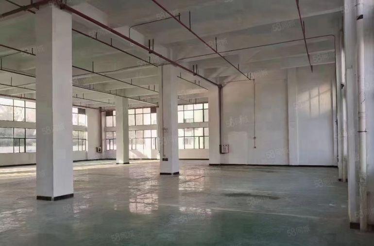 万江区新和独院厂房出租1500平方.空地大价格便宜